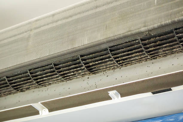 Best Home Air Vent Cleaning  in Madison, FL